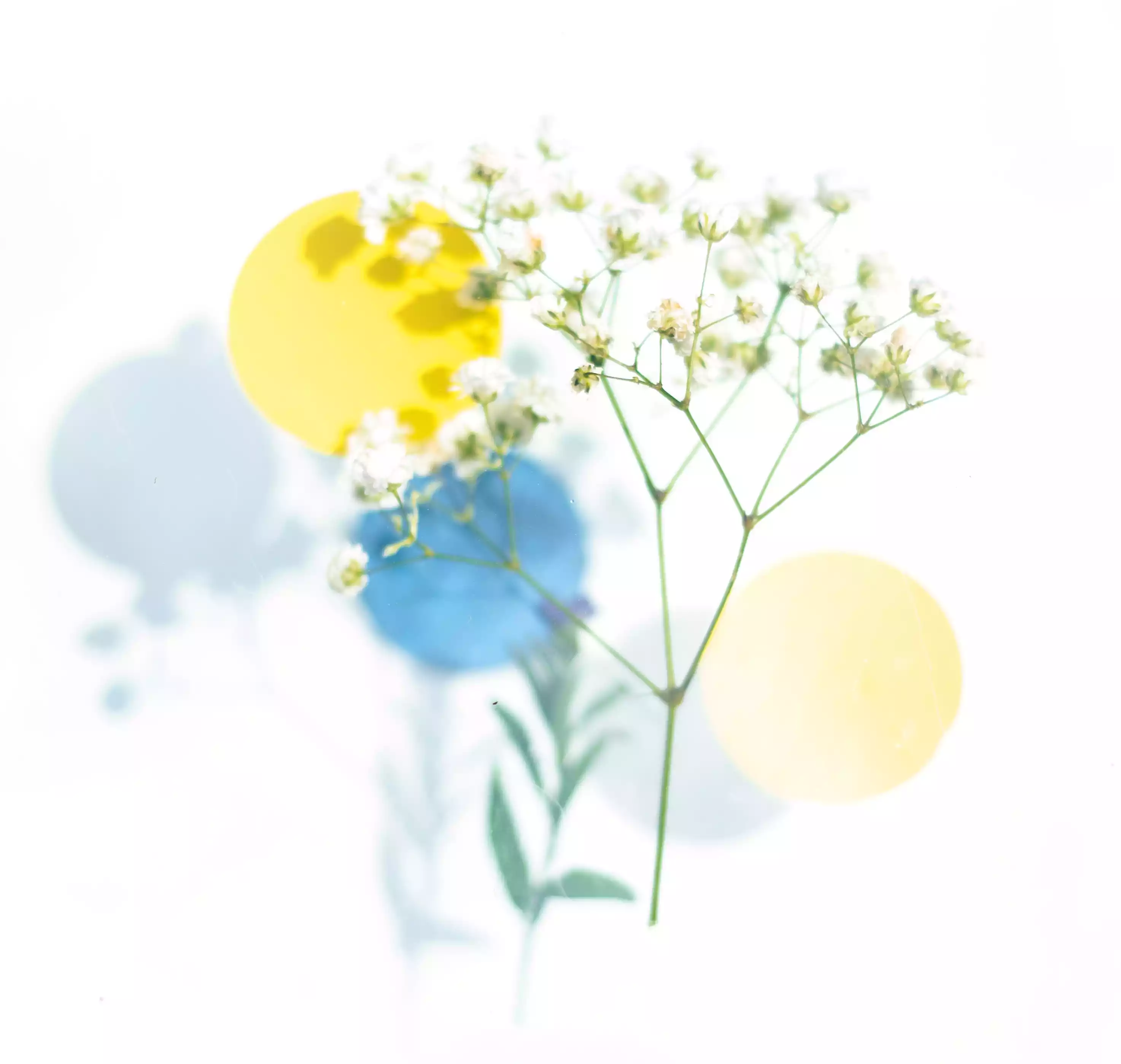 من أجل مستقبل أخضر وبيئة أفضل